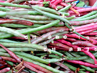 支付寶逾期申請(qǐng)新的賬戶可以嗎-支付寶逾期了可以在申請(qǐng)另外一個(gè)賬號(hào)嗎