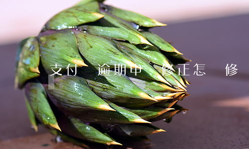 支付寶逾期申請修正 怎樣修補支付寶逾期