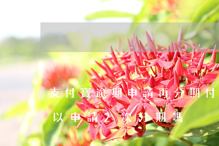 支付寶逾期申請再分期付款(支付寶逾期了可以申請2次分期嗎)