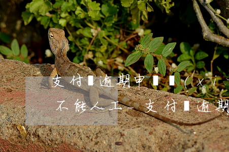 支付寶逾期申請協(xié)商還款客服說不能人工-支付寶逾期申請協(xié)商還款客服說不能人工審核
