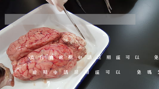 支付寶逾期申請延期還可以減免嗎-支付寶逾期申請延期還可以減免嗎怎么辦