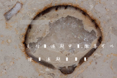 支付寶逾期申請撤案 可以向支付寶客服申請撤銷逾期記錄嗎