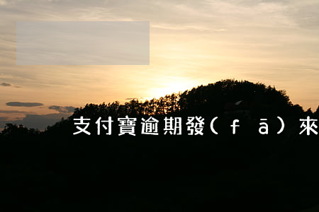 支付寶逾期發(fā)來告知函