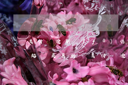 支付寶逾期發(fā)信息說(shuō)起訴是真的嗎（支付寶逾期會(huì)發(fā)信息）