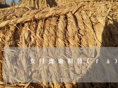 支付寶逾期發(fā)律師函要簽字