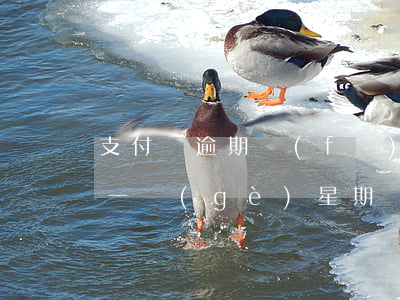 支付寶逾期發(fā)排前通知(支付寶逾期一個(gè)星期)