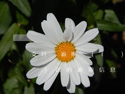 支付寶逾期發(fā)的快遞(支付寶發(fā)送的逾期信息)