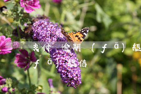 支付寶逾期發(fā)短信（支付寶逾期發(fā)短信）