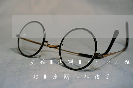 支付寶逾期發(fā)短信說要上征信-支付寶逾期上征信了