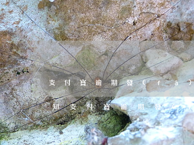 支付寶逾期發(fā)調(diào)解通知(支付寶逾期發(fā)調(diào)解通知)