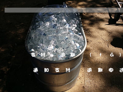 支付寶逾期發(fā)送風(fēng)險通知(支付寶逾期申述)