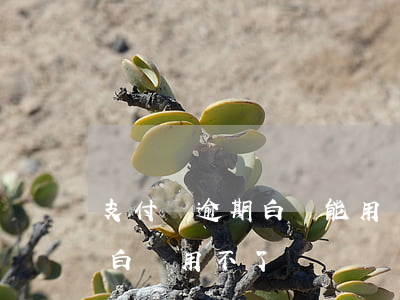 支付寶逾期白條能用嗎-支付寶逾期了京東白條用不了
