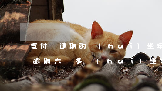 支付寶逾期的會(huì)坐牢嗎-支付寶逾期六萬多會(huì)坐牢嗎