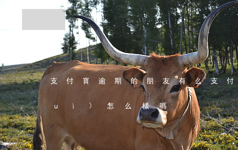 支付寶逾期的朋友有么(支付寶逾期了會(huì)怎么樣嗎)