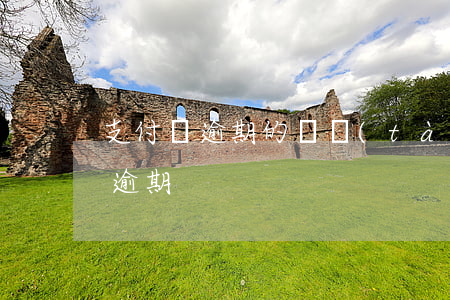 支付寶逾期的狀態(tài)(支付寶顯示有逾期)