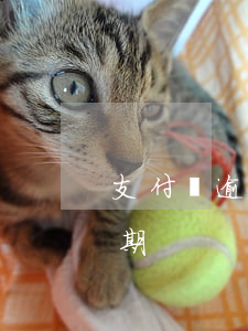 支付寶逾期的的時間-支付寶多長時間算逾期?