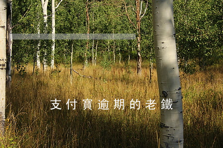 支付寶逾期的老鐵