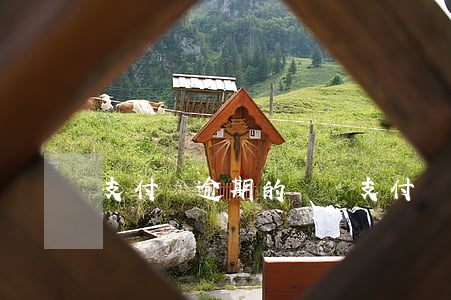 支付寶逾期的視頻(支付寶 逾期)