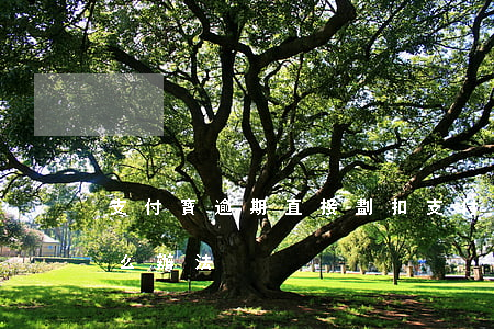 支付寶逾期直接劃扣(支付寶逾期秒扣款有什么辦法)
