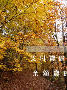 支付寶逾期直接扣余額 支付寶逾期會直接扣余額寶的錢嗎?