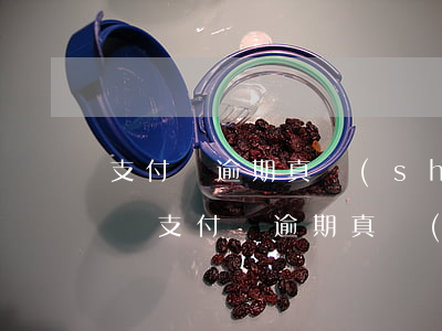 支付寶逾期真實(shí)經(jīng)歷(支付寶逾期真實(shí)經(jīng)歷)