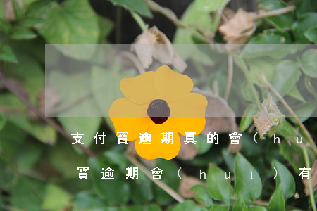 支付寶逾期真的會(huì)上征信嗎(支付寶逾期會(huì)有征信影響嗎)