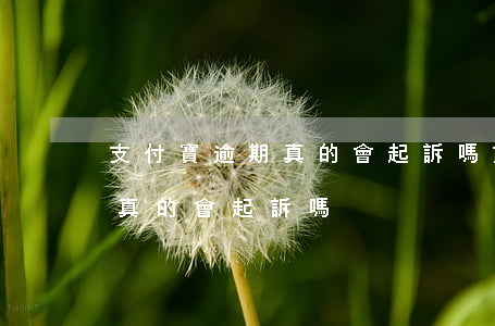 支付寶逾期真的會起訴嗎?（支付寶逾期還不上真的會起訴嗎）