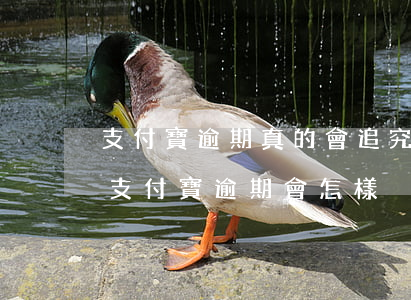 支付寶逾期真的會追究法律責(zé)任嗎(支付寶逾期會怎樣?)
