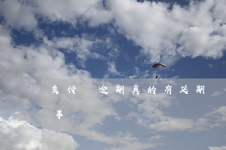 支付寶逾期真的有延期嗎(支付寶逾期多久沒事)