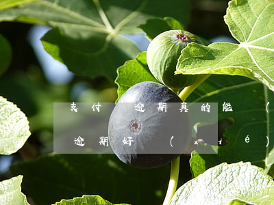 支付寶逾期真的能協(xié)商嗎 支付寶逾期好協(xié)商嗎