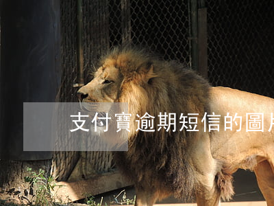 支付寶逾期短信的圖片
