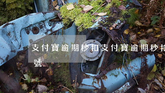 支付寶逾期秒扣(支付寶逾期秒扣款用另一個號)