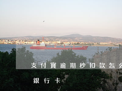 支付寶逾期秒扣款怎么辦（支付寶逾期秒扣款銀行卡）