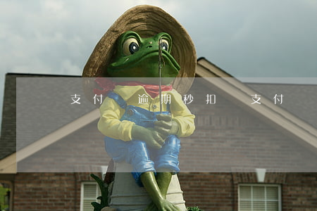 支付寶逾期秒扣錢(支付寶逾期扣50塊錢)