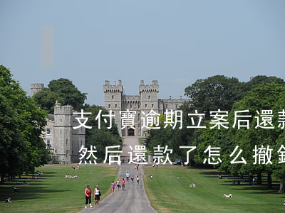 支付寶逾期立案后還款(支付寶逾期被起訴了,然后還款了,怎么撤銷起訴)