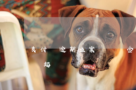支付寶逾期立案賠違約金(支付寶逾期多少錢會起訴)