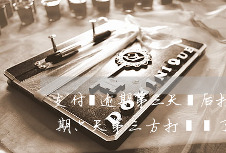 支付寶逾期第三天貸后打電話了-支付寶逾期六天第三方打電話了