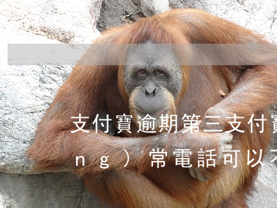 支付寶逾期第三(支付寶逾期第三方經(jīng)常電話可以不用接嗎)
