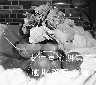 支付寶逾期第三方電話可以不接嗎-支付寶逾期第三方電話可以不接嗎怎么辦