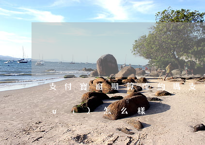 支付寶逾期算違約嗎(支付寶逾期的話會(huì)怎么樣)