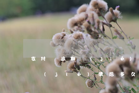 支付寶逾期結(jié)清后-支付寶逾期結(jié)清后多久能貸款買房