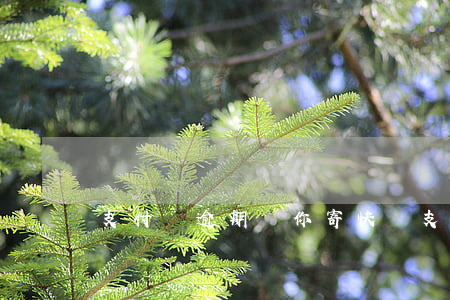 支付寶逾期給你寄快遞 支付寶無緣無故寄快遞