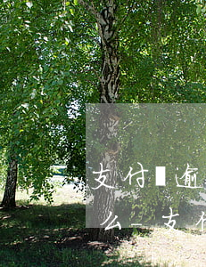 支付寶逾期給家人打電話會(huì)問什么-支付寶逾期給家人打電話會(huì)問什么問題