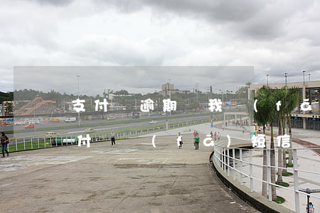 支付寶逾期給我發(fā)短信立案警示(支付寶發(fā)短信說(shuō)逾期要報(bào)案)