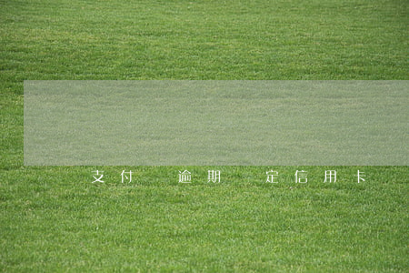 支付寶逾期綁定信用卡