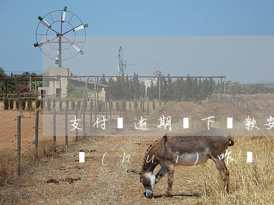 支付寶逾期線下還款安全嗎(支付寶逾期還款會(huì)咋樣)