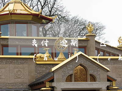 支付寶逾期總額包含本金嗎-支付寶逾期會(huì)產(chǎn)生多少違約金