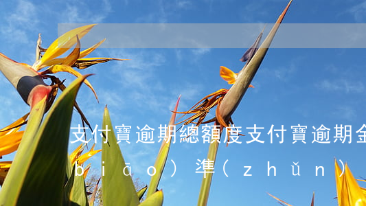 支付寶逾期總額度(支付寶逾期金額大小標(biāo)準(zhǔn))