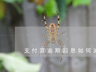 支付寶逾期罰息如何減免