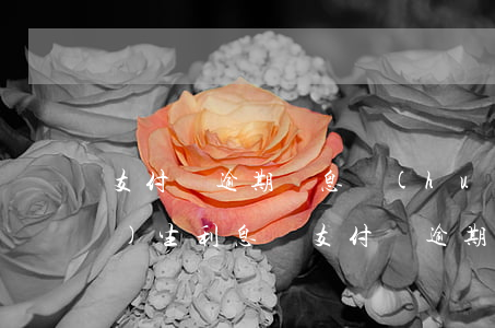 支付寶逾期罰息會(huì)產(chǎn)生利息嗎 支付寶逾期并罰息會(huì)怎么樣